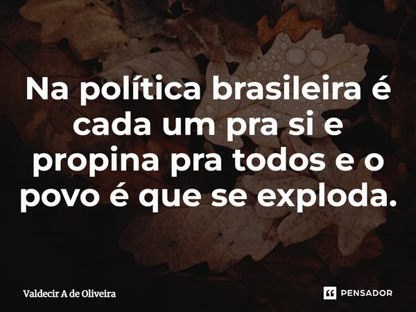 ⁠Na política brasileira é cada um pra si e propina pra todos e o povo é que se exploda.... Frase de Valdecir A de Oliveira.