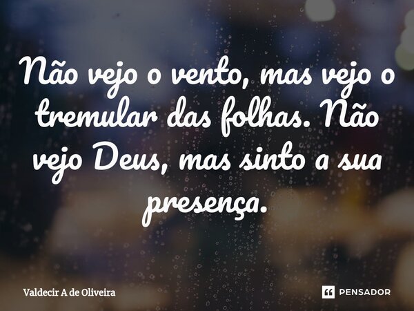 ⁠Não vejo o vento, mas vejo o tremular das folhas. Não vejo Deus, mas sinto a sua presença.... Frase de Valdecir A de Oliveira.