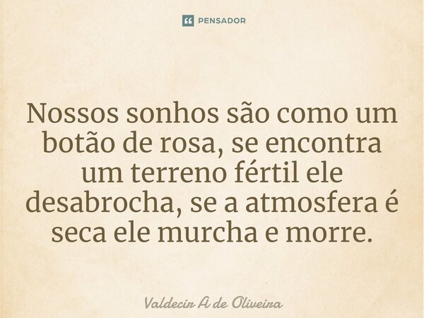 ⁠Nossos sonhos são como um botão de rosa, se encontra um terreno fértil ele desabrocha, se a atmosfera é seca ele murcha e morre.... Frase de Valdecir A de Oliveira.