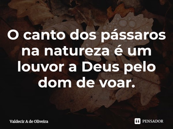 ⁠O canto dos pássaros na natureza é um louvor a Deus pelo dom de voar.... Frase de Valdecir A de Oliveira.