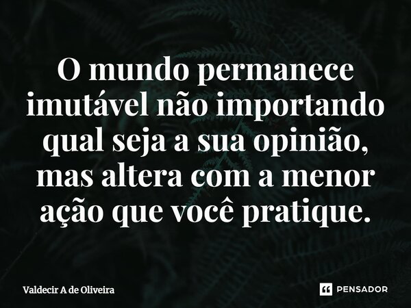 ⁠O mundo permanece imutável não importando qual seja a sua opinião, mas altera com a menor ação que você pratique.... Frase de Valdecir A de Oliveira.