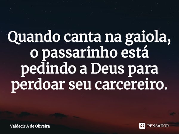 ⁠Quando canta na gaiola, o passarinho está pedindo a Deus para perdoar seu carcereiro.... Frase de Valdecir A de Oliveira.