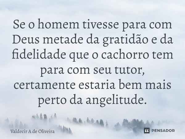 ⁠Se o homem tivesse para com Deus metade da gratidão e da fidelidade que o cachorro tem para com seu tutor, certamente estaria bem mais perto da angelitude.... Frase de Valdecir A de Oliveira.