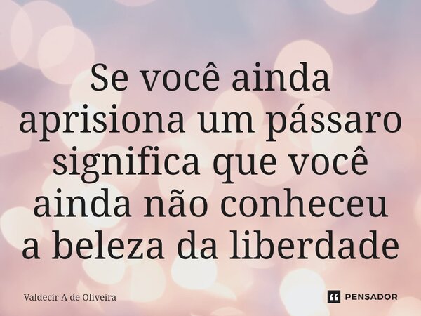 ⁠Se você ainda aprisiona um pássaro significa que você ainda não conheceu a beleza da liberdade... Frase de Valdecir A de Oliveira.