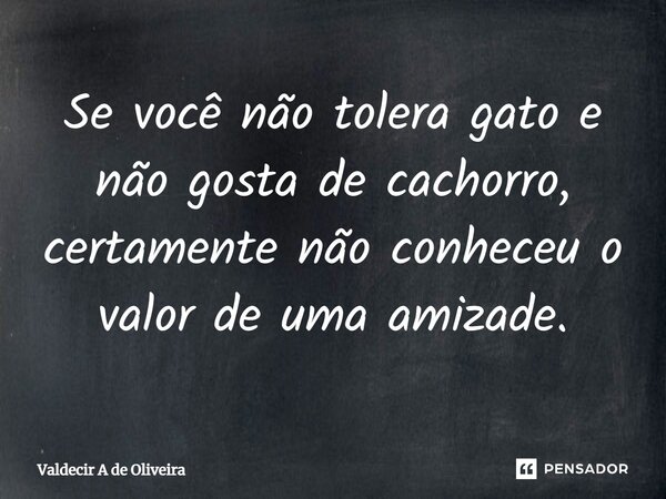 ⁠Se você não tolera gato e não gosta de cachorro, certamente não conheceu o valor de uma amizade.... Frase de Valdecir A de Oliveira.