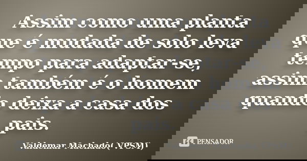 Assim como uma planta que é mudada de solo leva tempo para adaptar-se, assim também é o homem quando deixa a casa dos pais.... Frase de Valdemar Machado( VPSM).