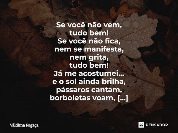 Se você não vem, tudo bem! Se você não fica, nem se manifesta, nem grita, tudo bem! Já me acostumei... e o sol ainda brilha, pássaros cantam, borboletas voam, ... Frase de Váldima Fogaça.