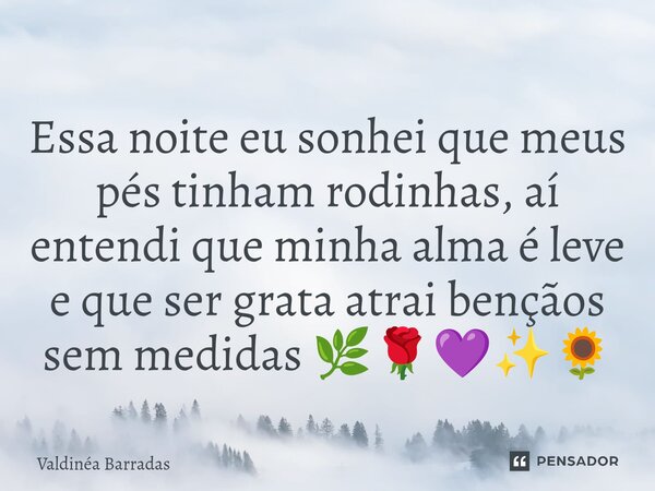 ⁠Essa noite eu sonhei que meus pés tinham rodinhas, aí entendi que minha alma é leve e que ser grata atrai bençãos sem medidas 🌿🌹💜✨🌻... Frase de Valdinéa Barradas.
