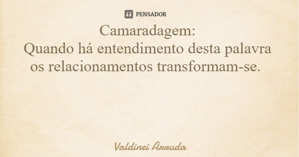 Camaradagem: Quando há entendimento desta palavra os relacionamentos transformam-se.... Frase de Valdinei Arruda.