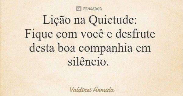 Lição na Quietude: Fique com você e desfrute desta boa companhia em silêncio.... Frase de Valdinei Arruda.