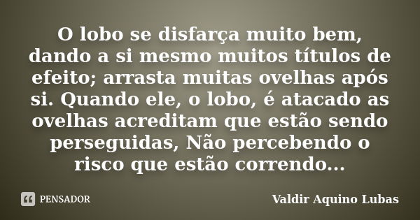 O lobo se disfarça muito bem, dando a si mesmo muitos títulos de efeito; arrasta muitas ovelhas após si. Quando ele, o lobo, é atacado as ovelhas acreditam que ... Frase de Valdir Aquino Lubas.