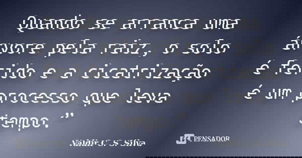Quando se arranca uma árvore pela raiz, o solo é ferido e a cicatrização é um processo que leva tempo.”... Frase de Valdir C. S. Silva.