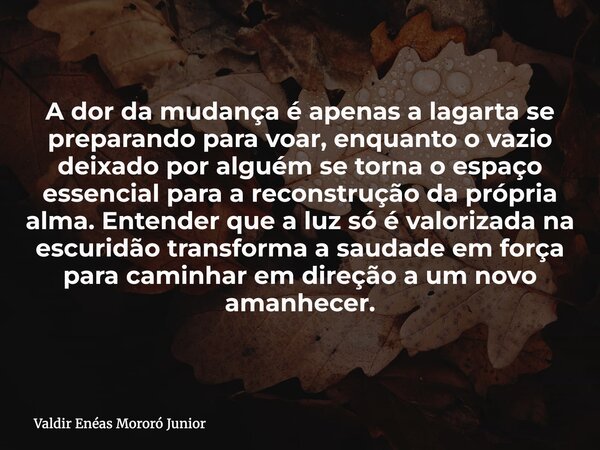 A dor da mudança é apenas a lagarta se preparando para voar, enquanto o vazio deixado por alguém se torna o espaço essencial para a reconstrução da própria alma... Frase de Valdir Enéas Mororó Junior.