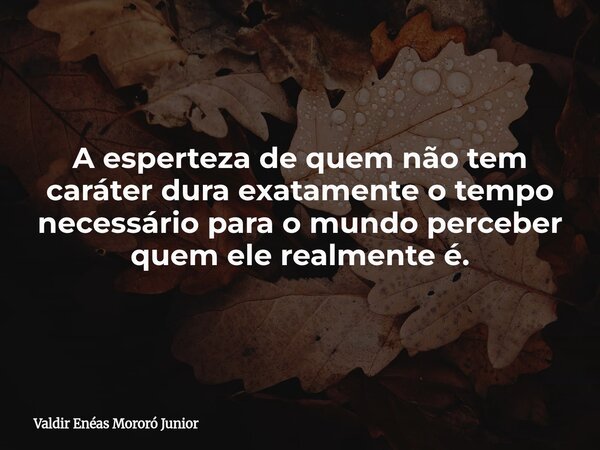A esperteza de quem não tem caráter dura exatamente o tempo necessário para o mundo perceber quem ele realmente é.... Frase de Valdir Enéas Mororó Junior.