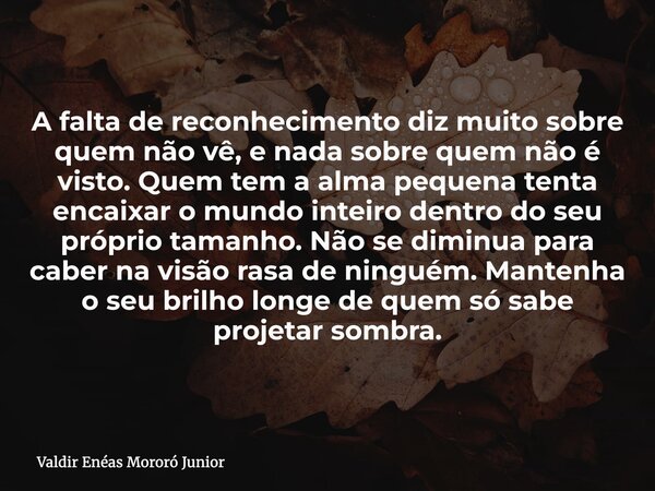 A falta de reconhecimento diz muito sobre quem não vê, e nada sobre quem não é visto. Quem tem a alma pequena tenta encaixar o mundo inteiro dentro do seu própr... Frase de Valdir Enéas Mororó Junior.