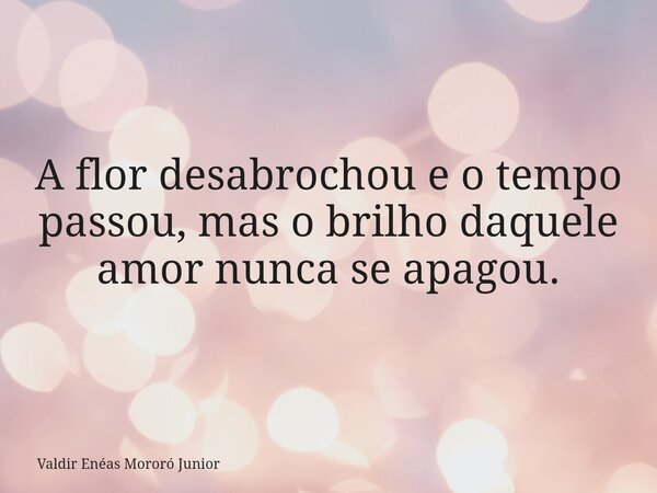 A flor desabrochou e o tempo passou, mas o brilho daquele amor nunca se apagou.... Frase de Valdir Enéas Mororó Junior.