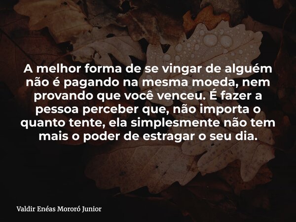 A melhor forma de se vingar de alguém não é pagando na mesma moeda, nem provando que você venceu. É fazer a pessoa perceber que, não importa o quanto tente, ela... Frase de Valdir Enéas Mororó Junior.