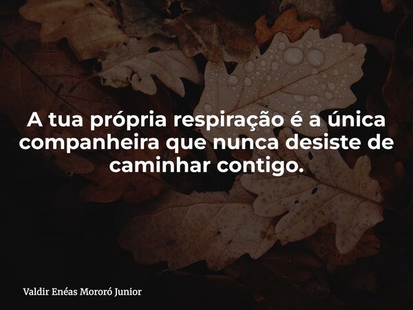 A tua própria respiração é a única companheira que nunca desiste de caminhar contigo.... Frase de Valdir Enéas Mororó Junior.