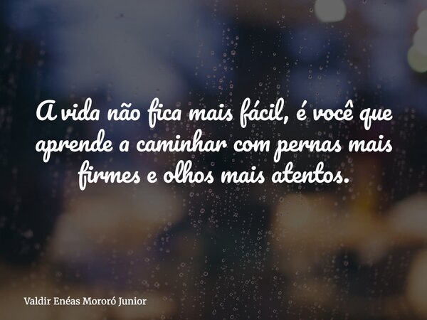 A vida não fica mais fácil, é você que aprende a caminhar com pernas mais firmes e olhos mais atentos.... Frase de Valdir Enéas Mororó Junior.