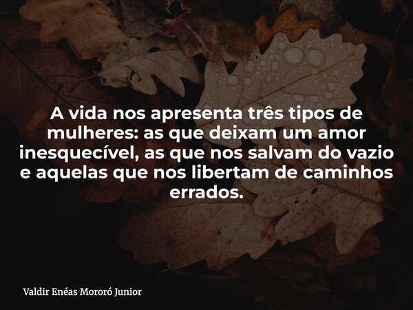 A vida nos apresenta três tipos de mulheres: as que deixam um amor inesquecível, as que nos salvam do vazio e aquelas que nos libertam de caminhos errados.... Frase de Valdir Enéas Mororó Junior.