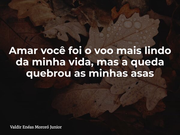 Amar você foi o voo mais lindo da minha vida, mas a queda quebrou as minhas asas... Frase de Valdir Enéas Mororó Junior.