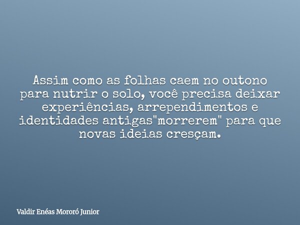 Assim como as folhas caem no outono para nutrir o solo, você precisa deixar experiências, arrependimentos e identidades antigas "morrerem" para que no... Frase de Valdir Enéas Mororó Junior.