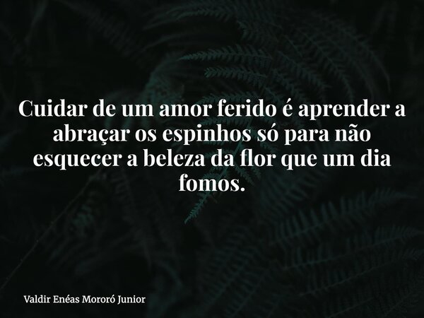 Cuidar de um amor ferido é aprender a abraçar os espinhos só para não esquecer a beleza da flor que um dia fomos.... Frase de Valdir Enéas Mororó Junior.