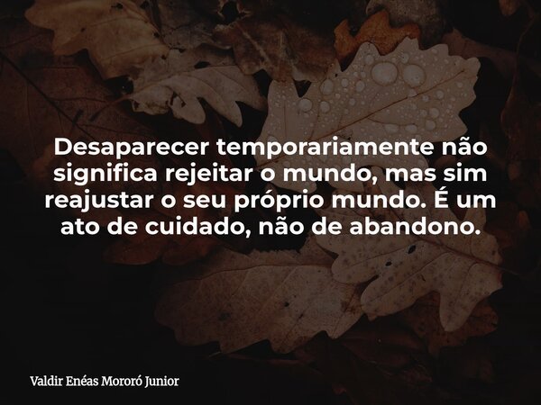 Desaparecer temporariamente não significa rejeitar o mundo, mas sim reajustar o seu próprio mundo. É um ato de cuidado, não de abandono.... Frase de Valdir Enéas Mororó Junior.