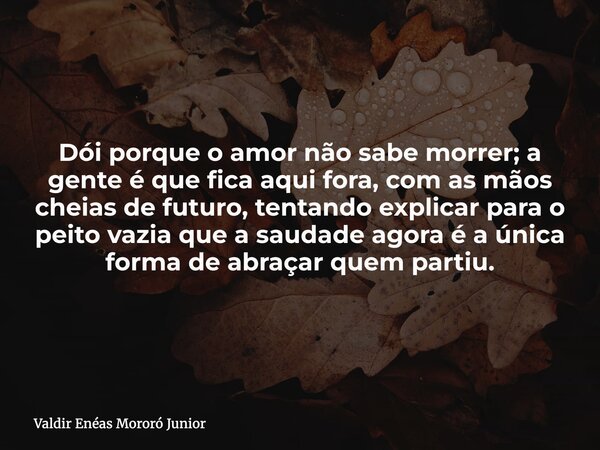 Dói porque o amor não sabe morrer; a gente é que fica aqui fora, com as mãos cheias de futuro, tentando explicar para o peito vazia que a saudade agora é a únic... Frase de Valdir Enéas Mororó Junior.
