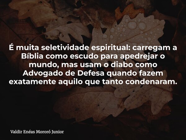 É muita seletividade espiritual: carregam a Bíblia como escudo para apedrejar o mundo, mas usam o diabo como Advogado de Defesa quando fazem exatamente aquilo q... Frase de Valdir Enéas Mororó Junior.