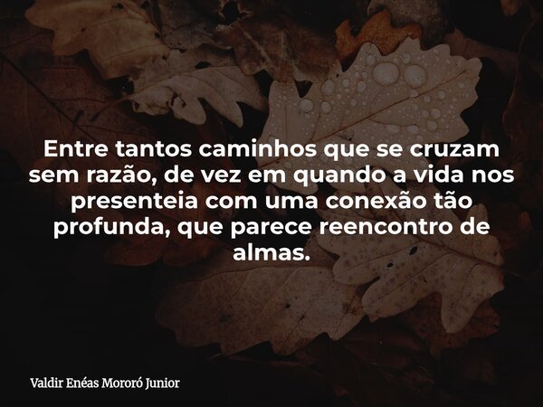 Entre tantos caminhos que se cruzam sem razão, de vez em quando a vida nos presenteia com uma conexão tão profunda, que parece reencontro de almas.... Frase de Valdir Enéas Mororó Junior.
