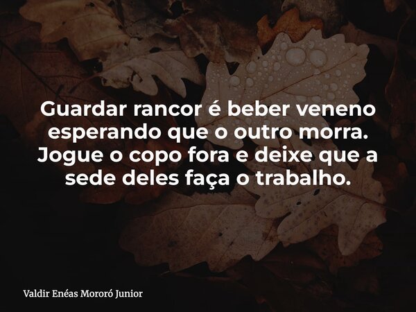 Guardar rancor é beber veneno esperando que o outro morra. Jogue o copo fora e deixe que a sede deles faça o trabalho.... Frase de Valdir Enéas Mororó Junior.