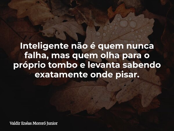 Inteligente não é quem nunca falha, mas quem olha para o próprio tombo e levanta sabendo exatamente onde pisar.... Frase de Valdir Enéas Mororó Junior.