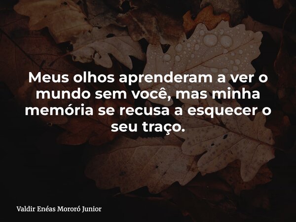 Meus olhos aprenderam a ver o mundo sem você, mas minha memória se recusa a esquecer o seu traço.... Frase de Valdir Enéas Mororó Junior.