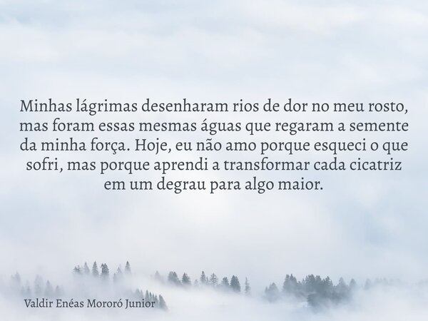 Minhas lágrimas desenharam rios de dor no meu rosto, mas foram essas mesmas águas que regaram a semente da minha força. Hoje, eu não amo porque esqueci o que so... Frase de Valdir Enéas Mororó Junior.