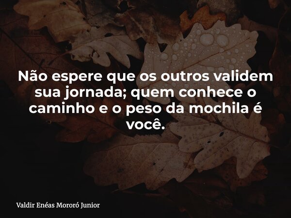Não espere que os outros validem sua jornada; quem conhece o caminho e o peso da mochila é você.... Frase de Valdir Enéas Mororó Junior.