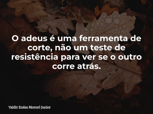 O adeus é uma ferramenta de corte, não um teste de resistência para ver se o outro corre atrás.... Frase de Valdir Enéas Mororó Junior.