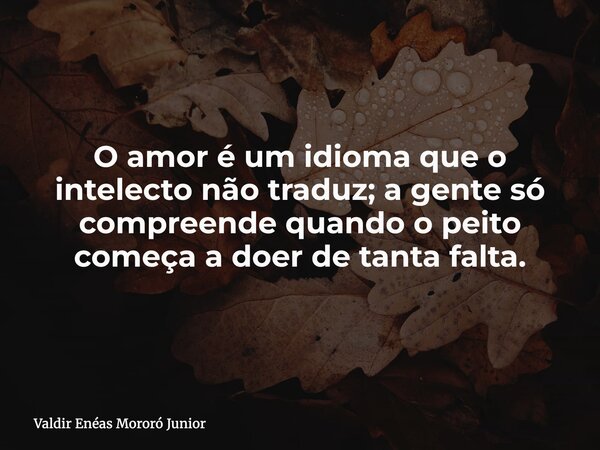 O amor é um idioma que o intelecto não traduz; a gente só compreende quando o peito começa a doer de tanta falta.... Frase de Valdir Enéas Mororó Junior.