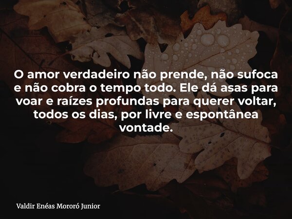 O amor verdadeiro não prende, não sufoca e não cobra o tempo todo. Ele dá asas para voar e raízes profundas para querer voltar, todos os dias, por livre e espon... Frase de Valdir Enéas Mororó Junior.