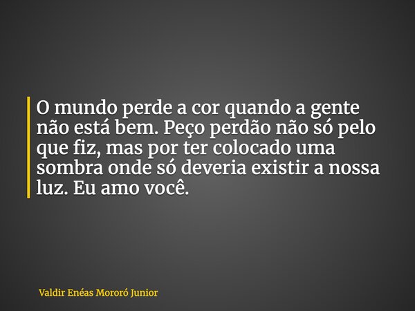 O mundo perde a cor quando a gente não está bem. Peço perdão não só pelo que fiz, mas por ter colocado uma sombra onde só deveria existir a nossa luz. Eu amo vo... Frase de Valdir Enéas Mororó Junior.