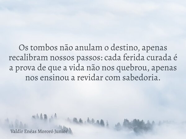 Os tombos não anulam o destino, apenas recalibram nossos passos: cada ferida curada é a prova de que a vida não nos quebrou, apenas nos ensinou a revidar com sa... Frase de Valdir Enéas Mororó Junior.