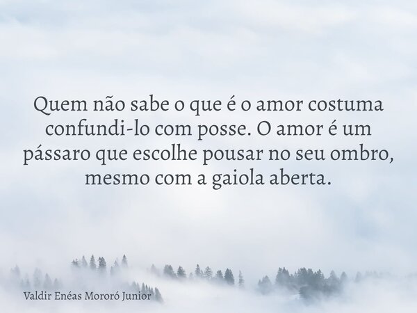Quem não sabe o que é o amor costuma confundi-lo com posse. O amor é um pássaro que escolhe pousar no seu ombro, mesmo com a gaiola aberta.... Frase de Valdir Enéas Mororó Junior.
