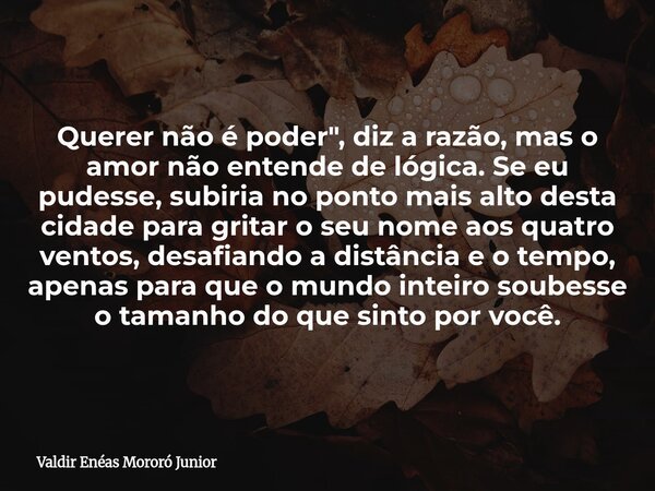 Querer não é poder", diz a razão, mas o amor não entende de lógica. Se eu pudesse, subiria no ponto mais alto desta cidade para gritar o seu nome aos quatr... Frase de Valdir Enéas Mororó Junior.