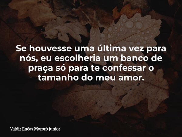 Se houvesse uma última vez para nós, eu escolheria um banco de praça só para te confessar o tamanho do meu amor.... Frase de Valdir Enéas Mororó Junior.