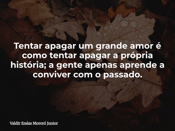 Tentar apagar um grande amor é como tentar apagar a própria história; a gente apenas aprende a conviver com o passado.... Frase de Valdir Enéas Mororó Junior.