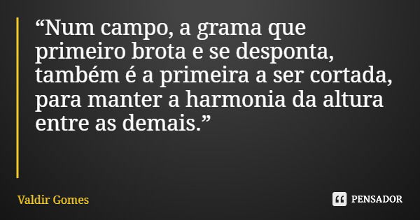 “Num campo, a grama que primeiro brota e se desponta, também é a primeira a ser cortada, para manter a harmonia da altura entre as demais.”... Frase de Valdir Gomes.