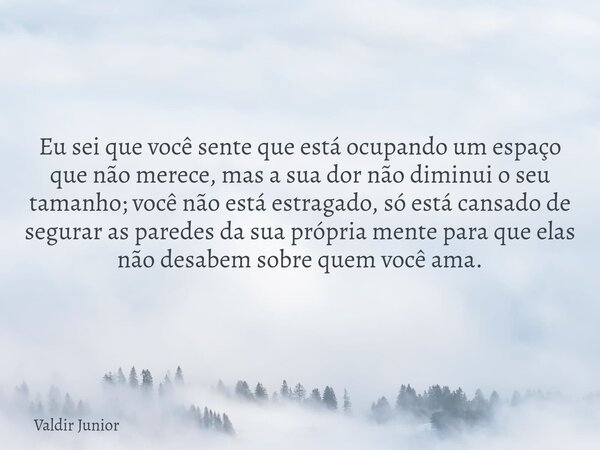 Eu sei que você sente que está ocupando um espaço que não merece, mas a sua dor não diminui o seu tamanho; você não está estragado, só está cansado de segurar a... Frase de Valdir Junior.