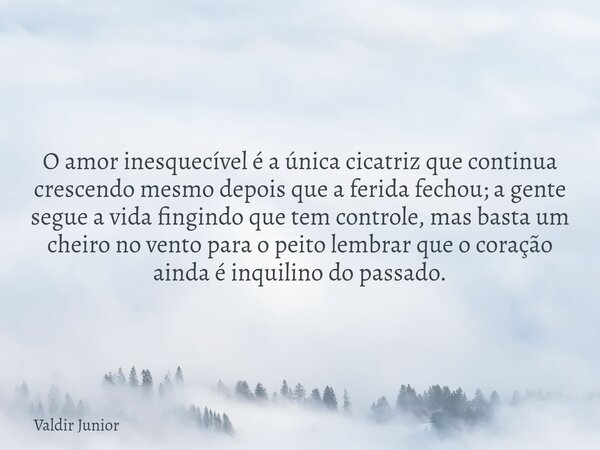 O amor inesquecível é a única cicatriz que continua crescendo mesmo depois que a ferida fechou; a gente segue a vida fingindo que tem controle, mas basta um che... Frase de Valdir Junior.