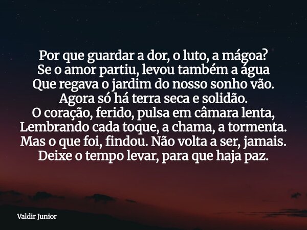 ⁠Por que guardar a dor, o luto, a mágoa? Se o amor partiu, levou também a água Que regava o jardim do nosso sonho vão. Agora só há terra seca e solidão. O coraç... Frase de Valdir Junior.