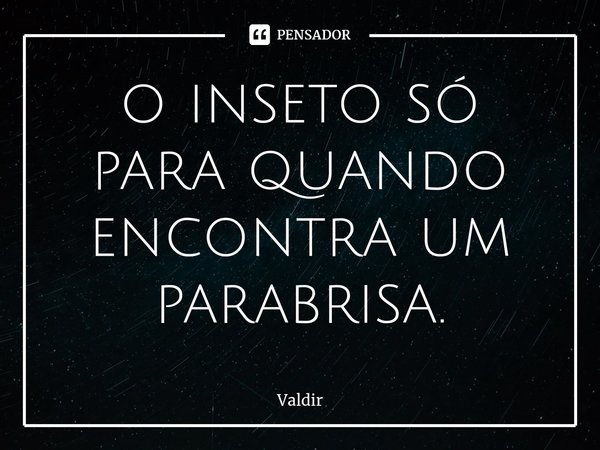 ⁠o inseto só para quando encontra um parabrisa.... Frase de valdir.